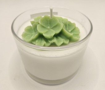 Vela Primula 100 Gramas
